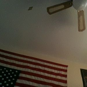 Meet your Posher, Ricky